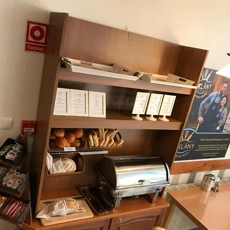 Oda ve Kahvaltı Zoeldteto Panzio 4*